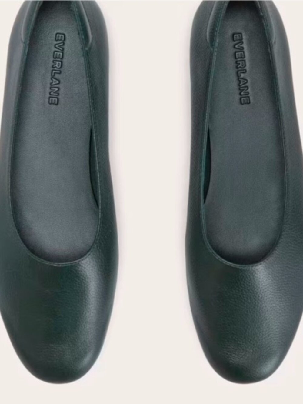 Everlane Day Glove Dark Green Leather Modern Flat Women's Size 6.5 NEW in Box